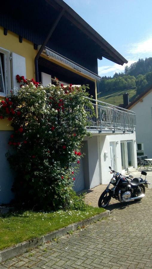 Am Siegelbaechle -2 Mit E-Bikes Vermietung Siegelau Exterior foto